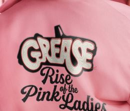 image-https://media.senscritique.com/media/000021184288/0/grease_rise_of_the_pink_ladies.jpg