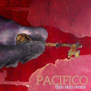 Thin Skin Remix