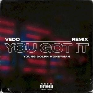 You Got It (remix)