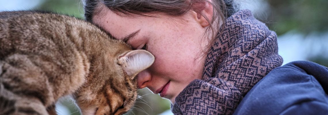 Cover Mon chat et moi, la grande aventure de Rroû