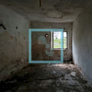 Transience