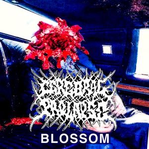 Blossom (EP)