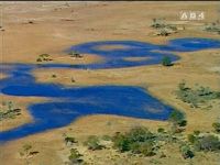 Prélude au crépuscule d'une faune (Botswana, Rwanda, Tanzanie, Zimbabwe)