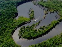 Les derniers hommes libres (Amazonie)