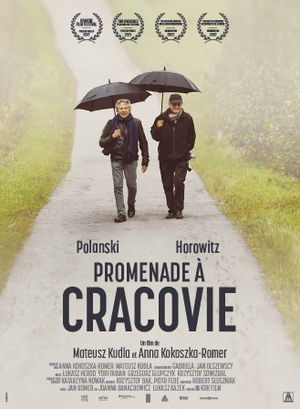 Promenade à Cracovie