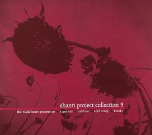 Shanti Project Collection 3