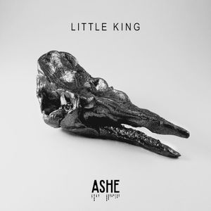 Little King (Single)