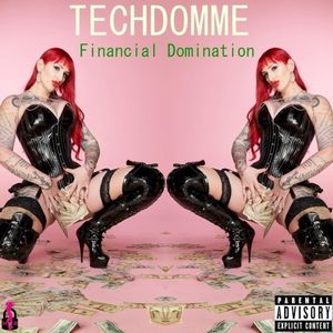 Techdomme: Financial Domination