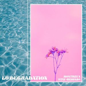 lo degradation (Single)