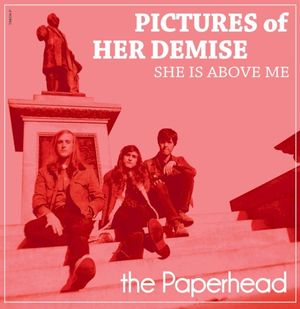 Pictures of Her Demise (Single)