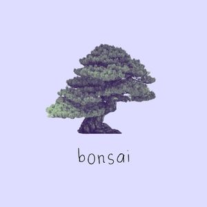 Bonsai (Single)