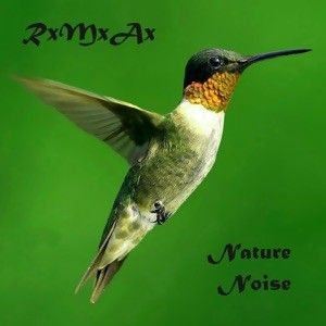 Nature Noise