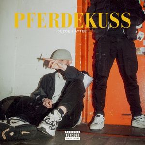 Pferdekuss (Single)