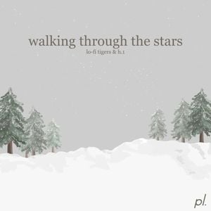 Walking Through the Stars (Single)