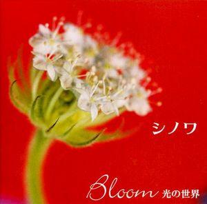 Bloom 光の世界