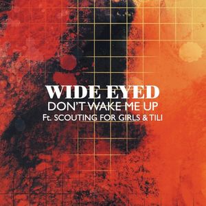 Don’t Wake Me Up (Single)