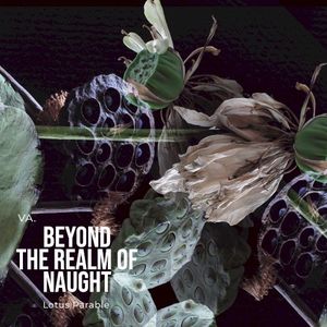 VA. Beyond the realm of naught