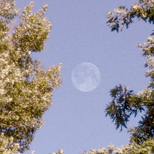 Osmo (Single)