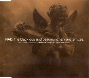 All I Ask of Myself Is That I Hold Together (The Black Dog and Beaumont Hannant Remixes)