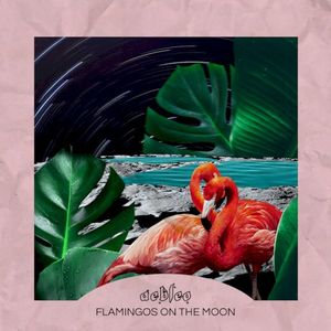 flamingos on the moon (Single)