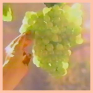 Grape Fanta (Single)