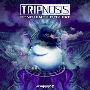 Penguins Look Fat (Single)