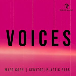 Voices (Single)