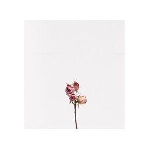 Roses (Single)