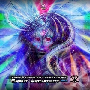 Marley on Acid (Spirit Architect remix)
