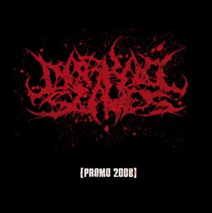 Promo 2008 (EP)