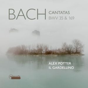 Geist und Seele wird verwirret, BWV 35, Part I: Concerto