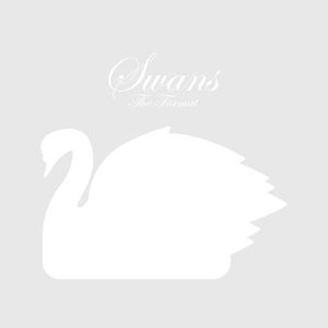 Swans (Single)