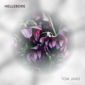 Hellebore (Single)