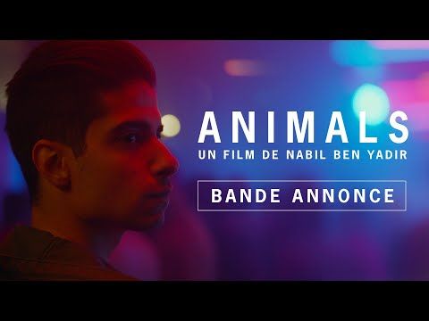 Bande-annonce de Animals