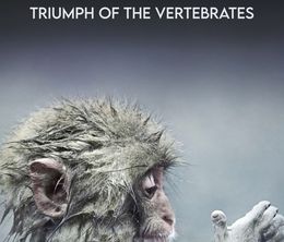 image-https://media.senscritique.com/media/000021224512/0/david_attenborough_s_rise_of_animals_triumph_of_the_vertebra.jpg