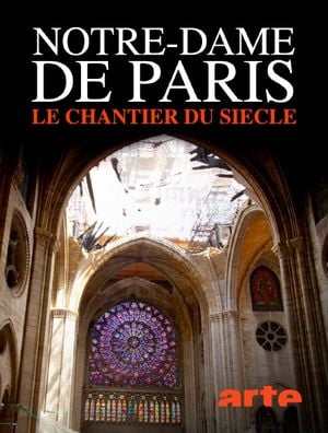 Notre-Dame de Paris : Le chantier du siècle