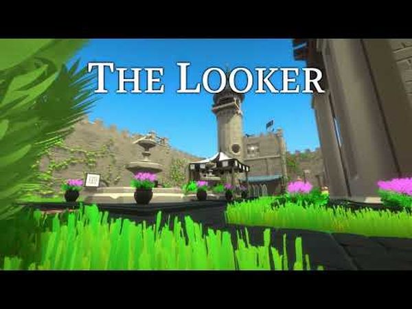 The Looker