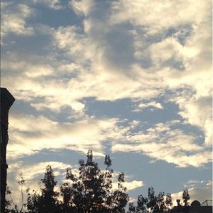 A Meditation (Single)