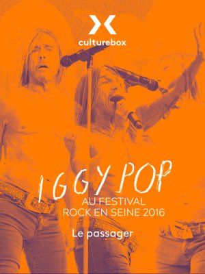 Iggy Pop - Rock en Seine 2016