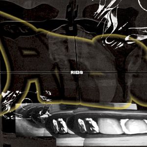 Ribs (Single)