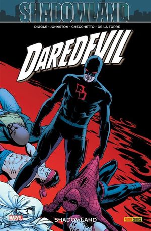 Shadowland - Daredevil (100 % Marvel), tome 22