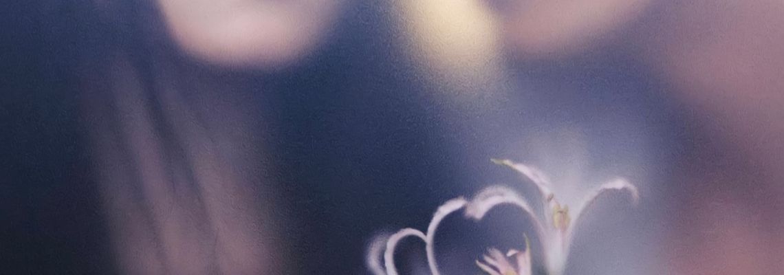 Cover La Vengeance par l'amour