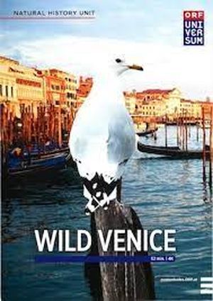 Wild Venice