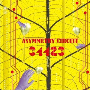 Asymmetry Circuit (Single)