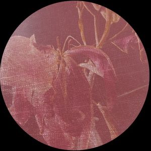 As Fallen Leaves (EP)