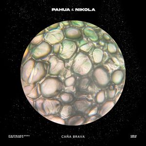 Caña Brava (Single)