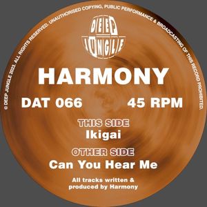 Can You Hear Me / Ikigai (Single)