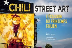 Chili street art : l'explosion du printemps chilien