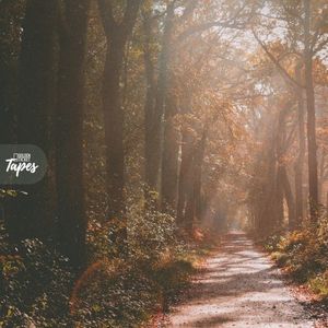 Golden Route (Single)