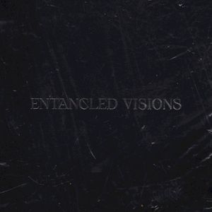 Entangled Visions